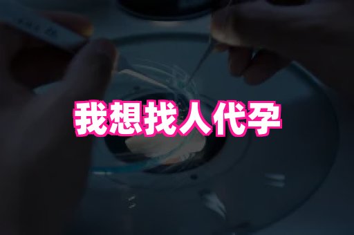 深圳助孕网站 1