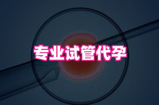 深圳助孕网站 3