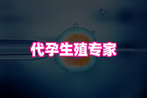 深圳助孕网站 4
